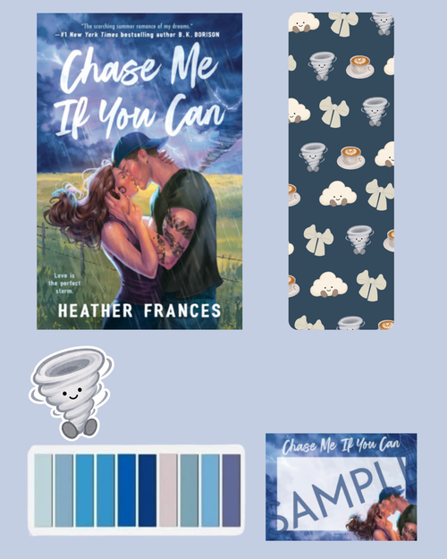 🌪️ August Book Box | Chase Me If You Can